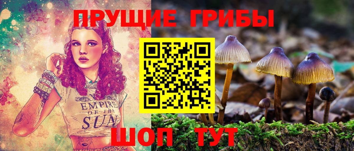Джанкой  Галлюциногенные грибы мицелий  Галлюциногенные грибы мицелий  Вход с VPN 