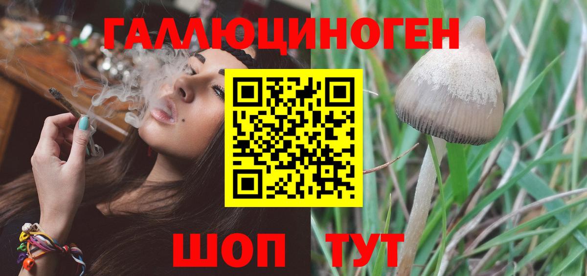 Псилоцибиновые грибы Psilocybine cubensis Джанкой